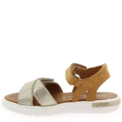 Evi - Dore Camel