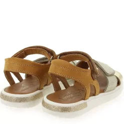 Evi - Dore Camel