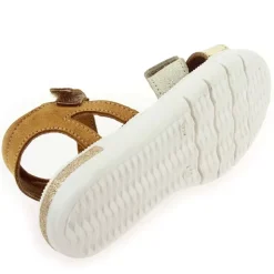Evi - Dore Camel