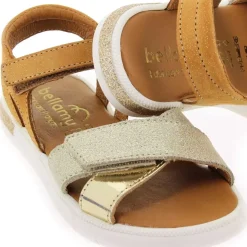 Evi - Dore Camel