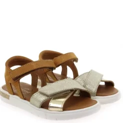 Evi - Dore Camel