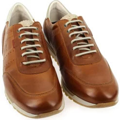 F1186 - Cognac