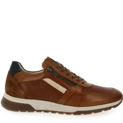 F1752 - Cognac