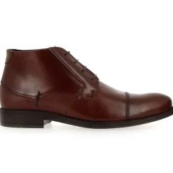 F0681 - Cognac