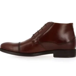 F0681 - Cognac