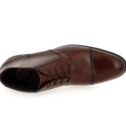 F0681 - Cognac