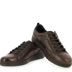 F0298 - Marron Marine