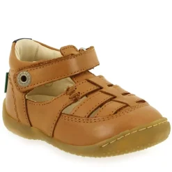 Gakick - Camel Marine