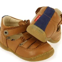 Gakick - Camel Marine