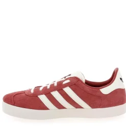 Gazelle - Rose