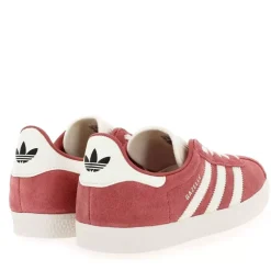 Gazelle - Rose