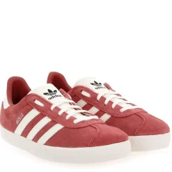 Gazelle - Rose