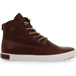 Gm06 - Marron