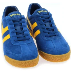 Harrier Gola Cma192 - Bleu Jaune