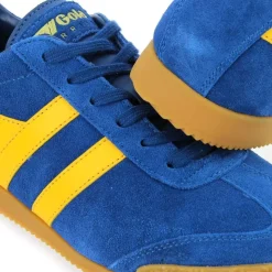 Harrier Gola Cma192 - Bleu Jaune