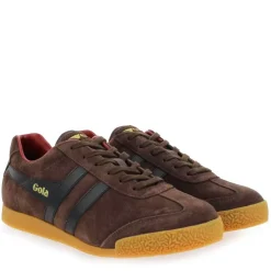 Harrier Gola Cma192 - Marron Noir