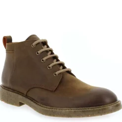 Howard - Marron