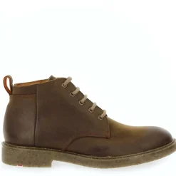 Howard - Marron