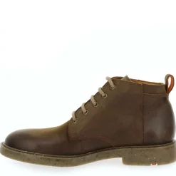 Howard - Marron