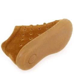 Ivea - Camel Or