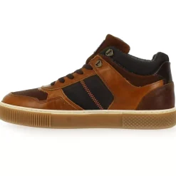 493K56306B - Cognac