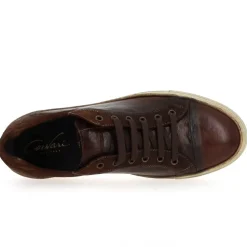 1210 280 - Marron