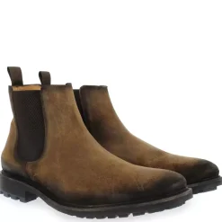 4269 - Marron
