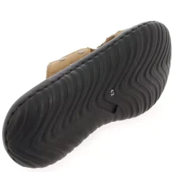 439004 - Marron