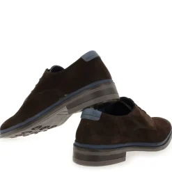 4446 - Marron Marine