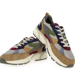 Maryland - Marine Multi