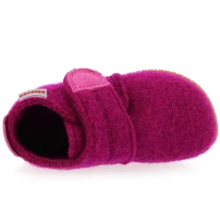 Oberstaufen F - Fuchsia