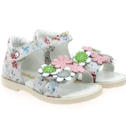 Pelite - Rose Multi