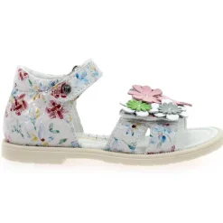 Pelite - Rose Multi