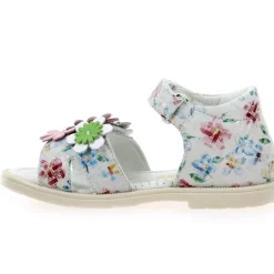 Pelite - Rose Multi