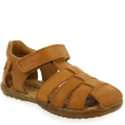 See G - Camel