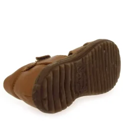 See G - Camel