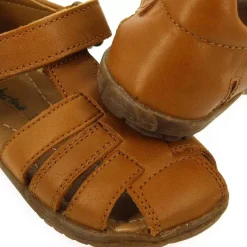 See G - Camel