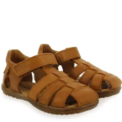 See G - Camel