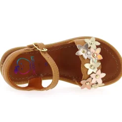 Solar Flore - Cognac Dore