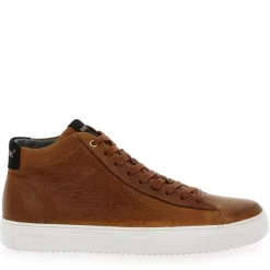 Vg06 - Cognac