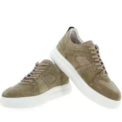 Wg70 - Taupe