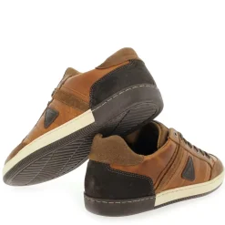 Willis - Cognac Marron