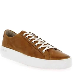 Zg18 - Cognac