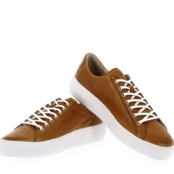 Zg18 - Cognac