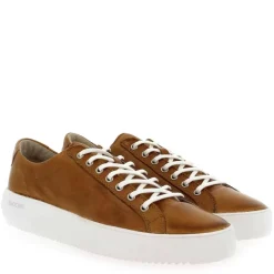 Zg18 - Cognac